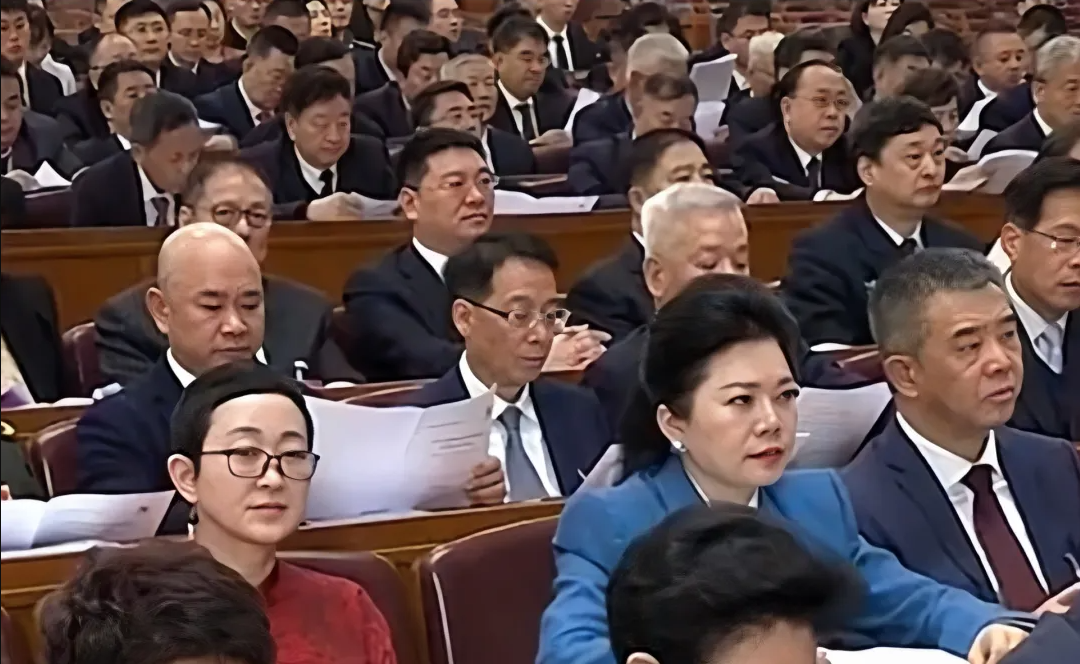 天下政协十四届四次聚会开幕 ——吴城委员出席开幕会